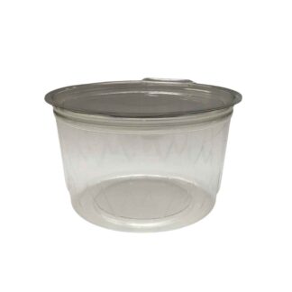 ENVASE TAPA BISAGRA GRANDE